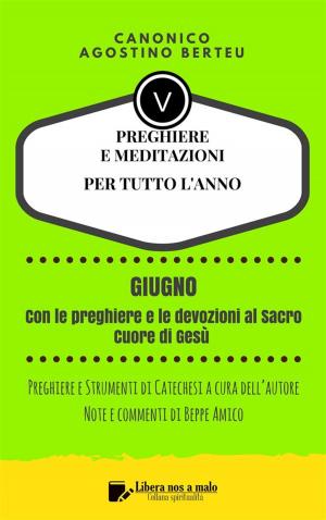 Book cover of PREGHIERE E MEDITAZIONI PER TUTTO L’ANNO - Con orazioni e Strumenti di Catechesi a cura dell’autore