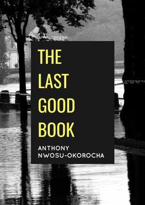 Cover of the book The Last Good Book by Sora Tulip