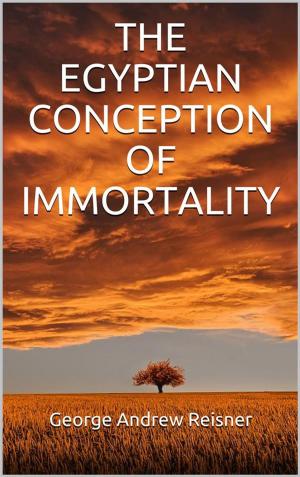 Book cover of The Egyptian Conception of Immortality