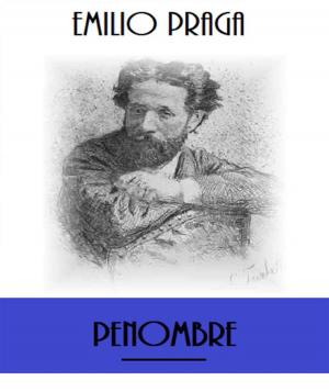 Cover of the book Penombre by Miguel de Cervantes