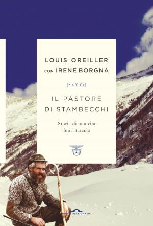 Cover of the book Il pastore di stambecchi by Andrew Pain