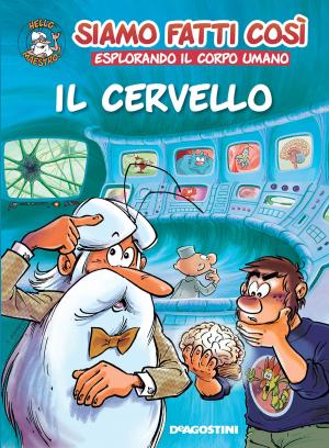 Cover of the book Il cervello (Esplorando il corpo umano) by Osho