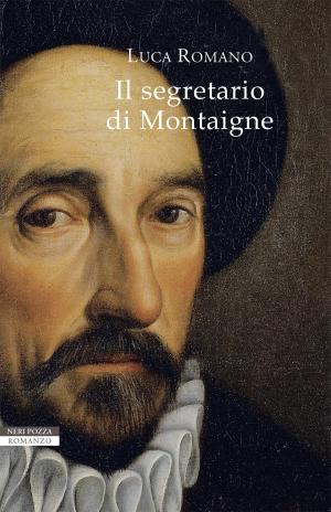 Book cover of Il segretario di Montaigne