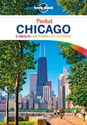 Cover of the book Chicago Pocket by Alex Capus