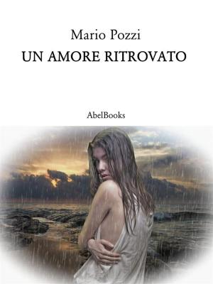 Cover of the book Un amore ritrovato by Stefano Sarritzu