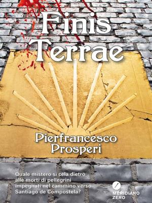 Cover of the book Finis terrae by Emma Donoghue