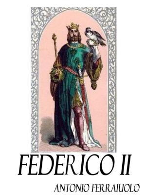 Book cover of Federico II