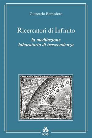 Cover of the book Ricercatori di infinito by michelle bailey