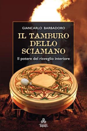 Book cover of Il Tamburo dello Sciamano