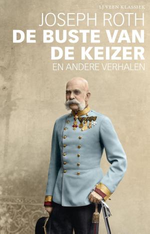 Cover of the book De buste van de keizer en andere verhalen by Jan Brokken