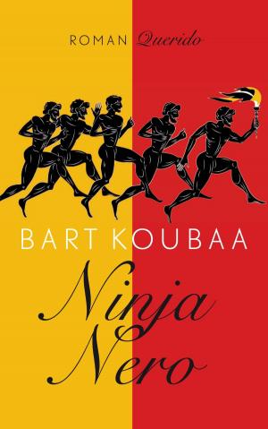 Cover of the book Ninja Nero by Seppe van Groeningen