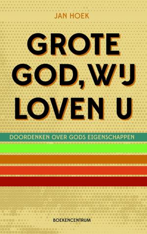 Cover of the book Grote God wij loven U by Joel C. Rosenberg