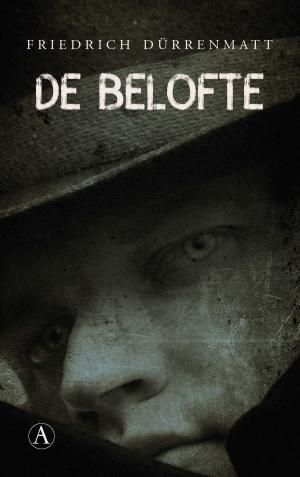 Cover of the book De belofte by Martin de Haan