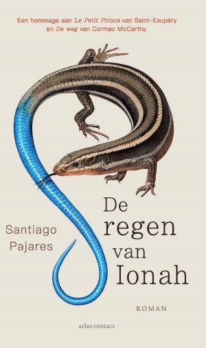 Cover of the book De regen van Ionah by Marieke Lucas Rijneveld