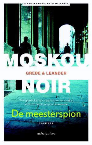 Book cover of De meesterspion