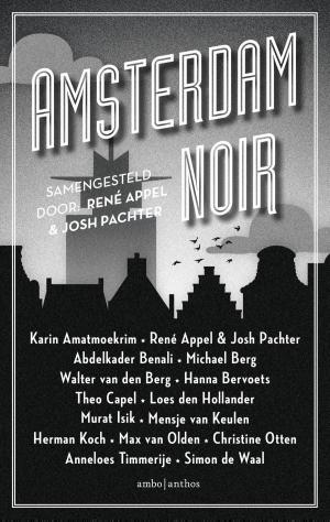 Book cover of Amsterdam Noir