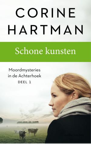 Cover of the book Schone kunsten by Paula Erickson