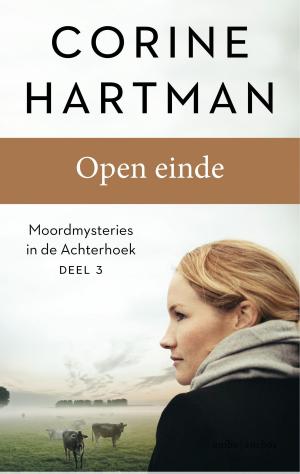 Cover of the book Open einde by Gail Parker