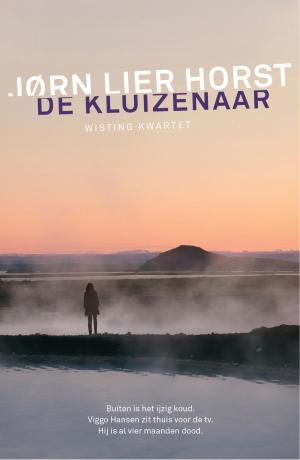 Cover of the book De kluizenaar by Suzanne Vermeer