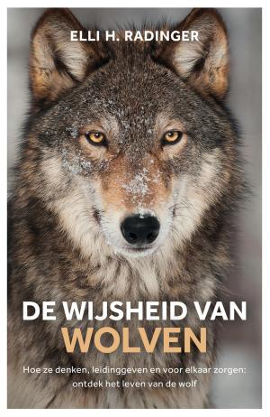 Cover of the book De wijsheid van wolven by Jan D. Swart, Johan Derksen