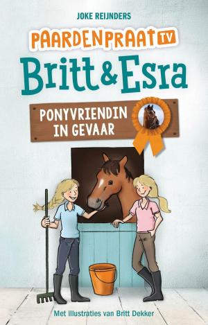 Cover of the book Ponyvriendin in gevaar by Rick Campbell