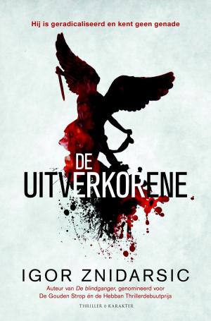 Cover of the book De uitverkorene by Amy Morin