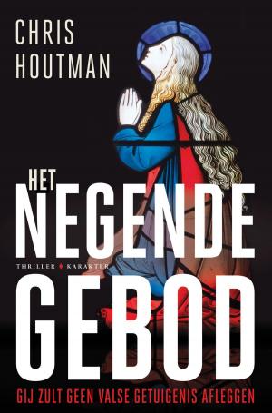 Cover of the book Het negende gebod by Andy Weir