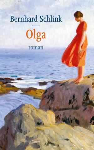 Cover of the book Olga by Jan van Mersbergen