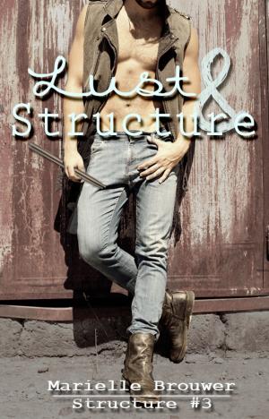 Book cover of Lust & Structure