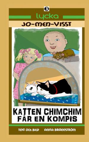 bigCover of the book Katten ChimChim får en kompis by 