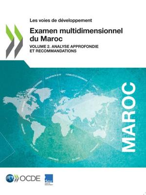 Cover of the book Examen multidimensionnel du Maroc (Volume 2) by Collective