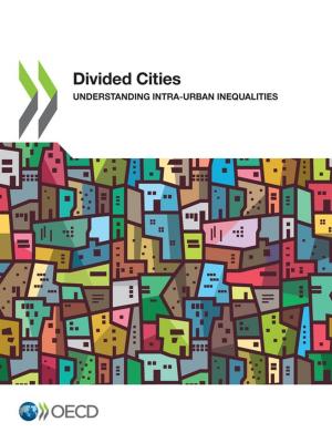 Cover of the book Divided Cities by Isuru Abeysinghe
