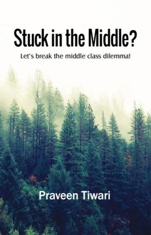 Cover of the book Stuck in the Middle? by Shiva Shankar Iyer