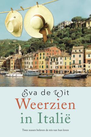 Cover of the book Weerzien in Italië by Reina Crispijn