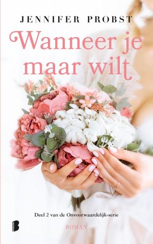 Cover of the book Wanneer je maar wilt by Anita Amirrezvani