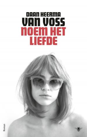 Cover of the book Noem het liefde by Paul Auster