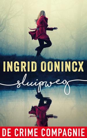 Cover of the book Sluipweg by Anne Nicolai