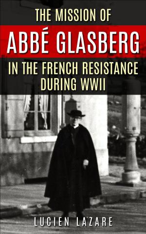 bigCover of the book The Mission of Abbé Glasberg in the French Resistance during WWII by 