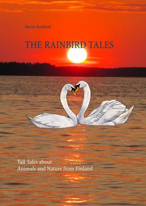 Cover of the book The Rainbird Tales by Heidi Schmitt