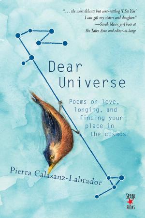 Cover of the book Dear Universe by Glenda Barretto