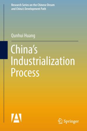Cover of the book China's Industrialization Process by Akiomi Kitagawa, Souichi Ohta, Hiroshi Teruyama
