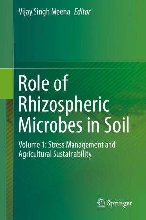Cover of the book Role of Rhizospheric Microbes in Soil by Hema Singh, R. Chandini, Rakesh Mohan Jha