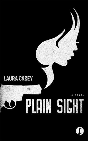 Book cover of Plain Sight
