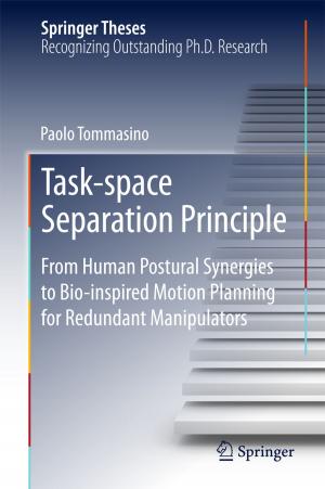 Cover of the book Task-space Separation Principle by 