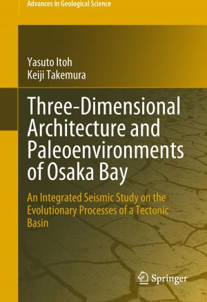 Cover of the book Three-Dimensional Architecture and Paleoenvironments of Osaka Bay by Takashi Suzuki