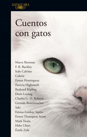 Cover of the book Cuentos con gatos by Nicolás Amelio Ortiz