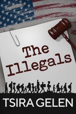 Cover of the book The Illegals by SJ Tierney