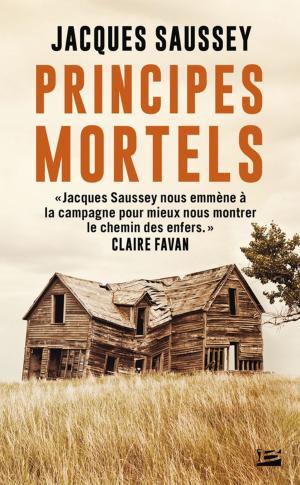 Cover of the book Principes mortels by Richard Sapir, Warren Murphy