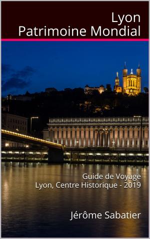 Cover of the book Lyon Patrimoine Mondial by Jérôme Sabatier
