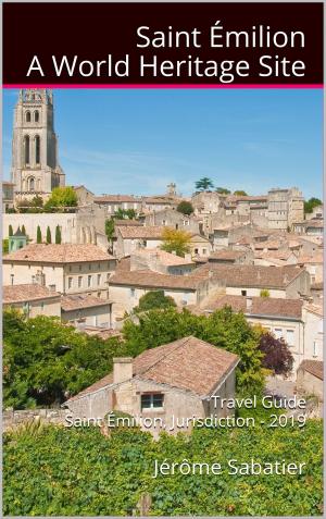 Cover of the book Saint Emilion A World Heritage Site by R J
